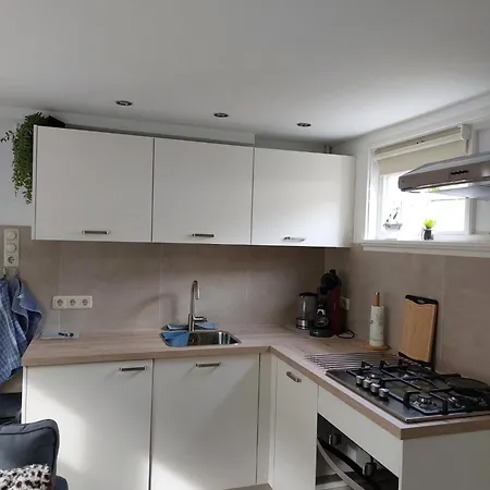 Sea Star Egmond aan Zee