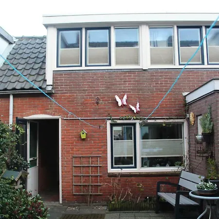 Sea Star * Egmond aan Zee